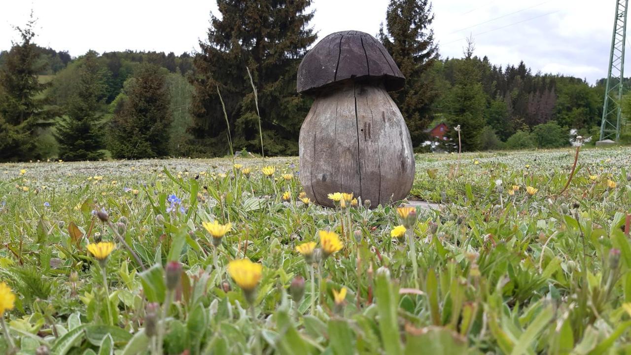 U Tomicku Hotel Paseky nad Jizerou Eksteriør billede